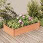 Preview: ARDEBO.de - Hochbeet mit Einsatz Braun 120x60x25 cm Massivholz Tanne