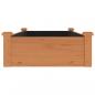 Preview: Hochbeet mit Einsatz Braun 120x60x25 cm Massivholz Tanne
