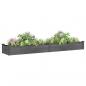 Preview: Hochbeet mit Einsatz Grau 240x45x25 cm Massivholz Tanne