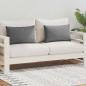 Preview: Gartenkissen 2 Stk. 60 x 40 cm Grau
