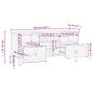Preview: TV-Schrank 100x33x46 cm Massivholz Mango