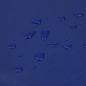 Preview: Abdeckplane Blau 1x2,5 m 650 g/m²
