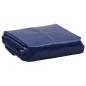 Preview: Abdeckplane Blau 1,5x2 m 650 g/m²