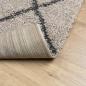 Preview: Teppich Shaggy Hochflor Modern Beige und Anthrazit 160x230 cm