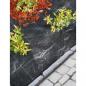 Preview: Nature Unkrautschutz-Bodenplane 2x10 m Schwarz