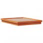 Preview: Massivholzbett mit LED-Beleuchtung Wachsbraun 160x200 cm Kiefer