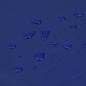 Preview: Abdeckplane Blau 3x5 m 650 g/m²