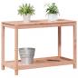 Preview: Pflanztisch mit Ablage 108x50x75 cm Massivholz Douglasie