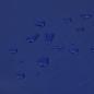 Preview: Abdeckplane Blau 3,5x5 m 650 g/m²
