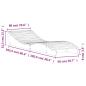 Preview: Sonnenliege 205x60x31,5 cm Massivholz Douglasie