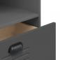 Preview: Bücherschrank VIKEN Anthrazit 60x35x123 cm Holzwerkstoff