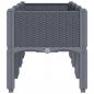 Preview: Pflanzkasten mit Beinen Grau 120x40x42 cm PP