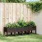 Preview: ARDEBO.de - Pflanzkasten mit Beinen Braun 160x40x42 cm PP