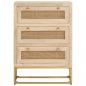 Preview: Kommode 55x30x76 cm Massivholz Mango und Eisen