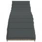 Preview: Sonnenliege mit Kissen Hellgrau 55x199x50 cm Poly Rattan