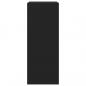 Preview: Schuhschrank mit 2 Klappen Schwarz 80x42x108 cm