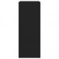 Preview: Schuhschrank mit 2 Klappen Schwarz 60x42x108 cm