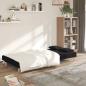 Preview: Schlafsofa 2-Sitzer mit 2 Kissen Schwarz Stoff