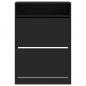Preview: Schuhschrank mit 2 Klappen Schwarz 80x34x116 cm