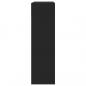 Preview: Schuhschrank mit 2 Klappen Schwarz 80x34x116 cm