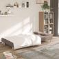 Preview: Schlafsofa 2-Sitzer mit 2 Kissen Taupe Stoff
