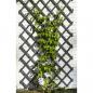 Preview: ARDEBO.de - Nature Garten-Rankgitter 50x150 cm Holz Anthrazit