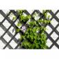 Preview: Nature Garten-Rankgitter 50x150 cm Holz Anthrazit