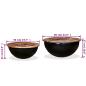 Preview: 2-tlg. Couchtisch-Set Altholz Massiv Schwarz Schalenform