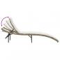 Preview: Sonnenliege mit Kissen Beige 55x199x50 cm Poly Rattan