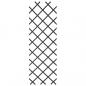Preview: Nature Garten-Rankgitter 50x150 cm PVC Anthrazit