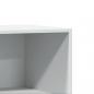 Preview: Kleiderschrank Weiß 48x41x102 cm Holzwerkstoff