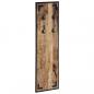 Preview: Garderobe 35x8x110 cm Raues Massivholz Mango
