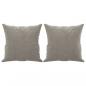 Preview: Zierkissen 2 Stk. Hellgrau 40x40 cm Samt
