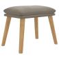 Preview: Fußhocker Hellgrau 45x29,5x35 cm Samt