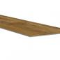 Preview: Wandpaneele Holzoptik Braun PVC 2,06 m²
