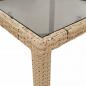 Preview: 11-tlg. Garten-Essgruppe mit Kissen Beige Poly Rattan und Glas