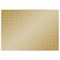 Preview: Regenbrause Edelstahl 40x30 cm Rechteckig Golden