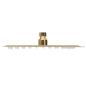 Preview: Regenbrause Edelstahl 20x20 cm Quadrat Golden