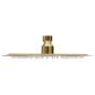 Preview: Regenbrause Edelstahl 20 cm Rund Golden