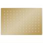 Preview: Regenbrause Edelstahl 30x20 cm Rechteckig Golden