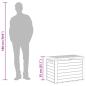 Preview: Gartenbox Anthrazit 78x44x55 cm