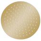 Preview: Regenbrause Edelstahl 25 cm Rund Golden