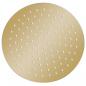 Preview: Regenbrause Edelstahl 25 cm Rund Golden