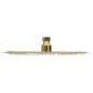 Preview: Regenbrause Edelstahl 25 cm Rund Golden