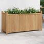 Preview: ARDEBO.de - Pflanzkübel 100x30x50 cm Bambus