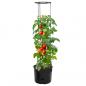 Preview: Tomatentopf Anthrazit Ø39x150 cm Polypropylen