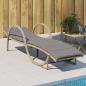 Preview: ARDEBO.de - Sonnenliege mit Auflage Beige 60x199x42 cm Poly Rattan