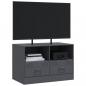 Preview: TV-Schrank Anthrazit 67x39x44 cm Stahl