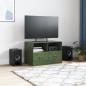 Preview: TV-Schrank Olivgrün 67x39x44 cm Stahl