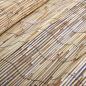 Preview: Gartenzaun 500x90 cm Schilf